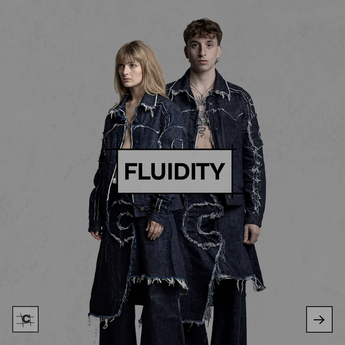 Original Fluidity cover with two models
