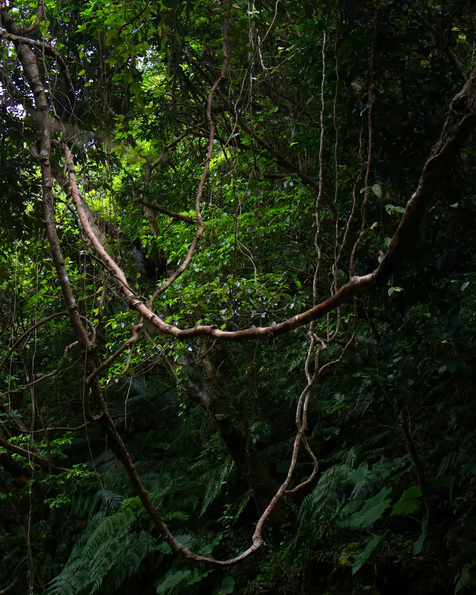 PERSONAL photography by Filippo Mantini — 15